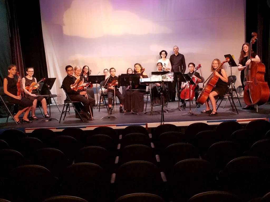 Sunflower Chamber Orchestra | 1535 Park Ave, River Forest, IL 60305, USA | Phone: (773) 203-2816