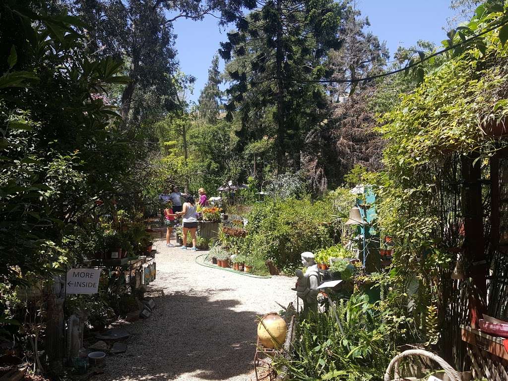 Buena Creek Gardens | 418 Buena Creek Rd, San Marcos, CA 92069, USA | Phone: (760) 744-2810