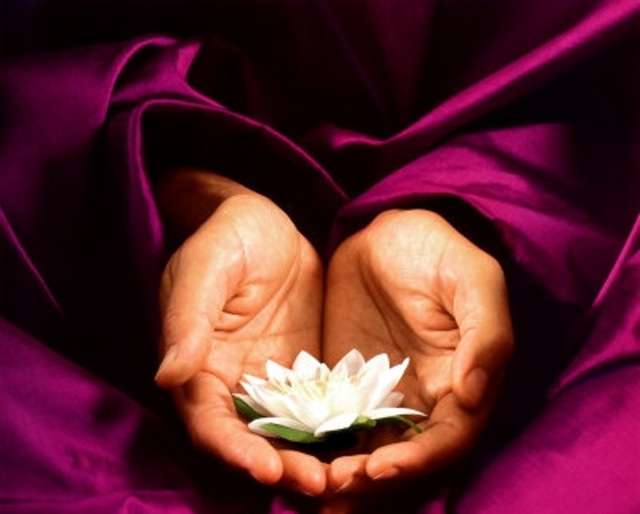 Indigo REIKI Healing Hands | 100, 2912 W Davis St Ste 140D, Conroe, TX 77304, USA | Phone: (936) 520-1027