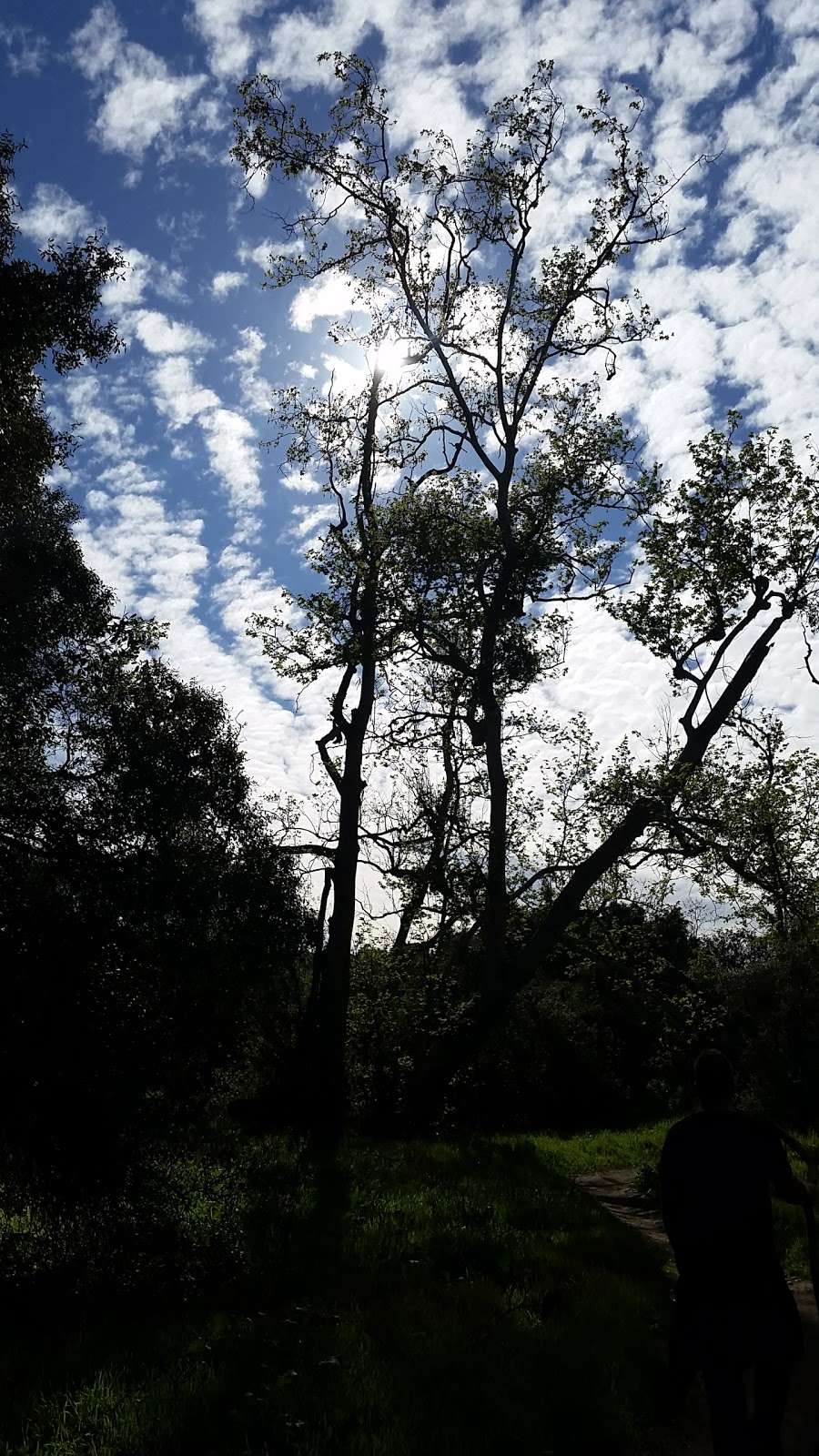 Peñasquitos Creek Park | Camino Del Sur & Park Village Rd, San Diego, CA 92129, USA | Phone: (619) 525-8213