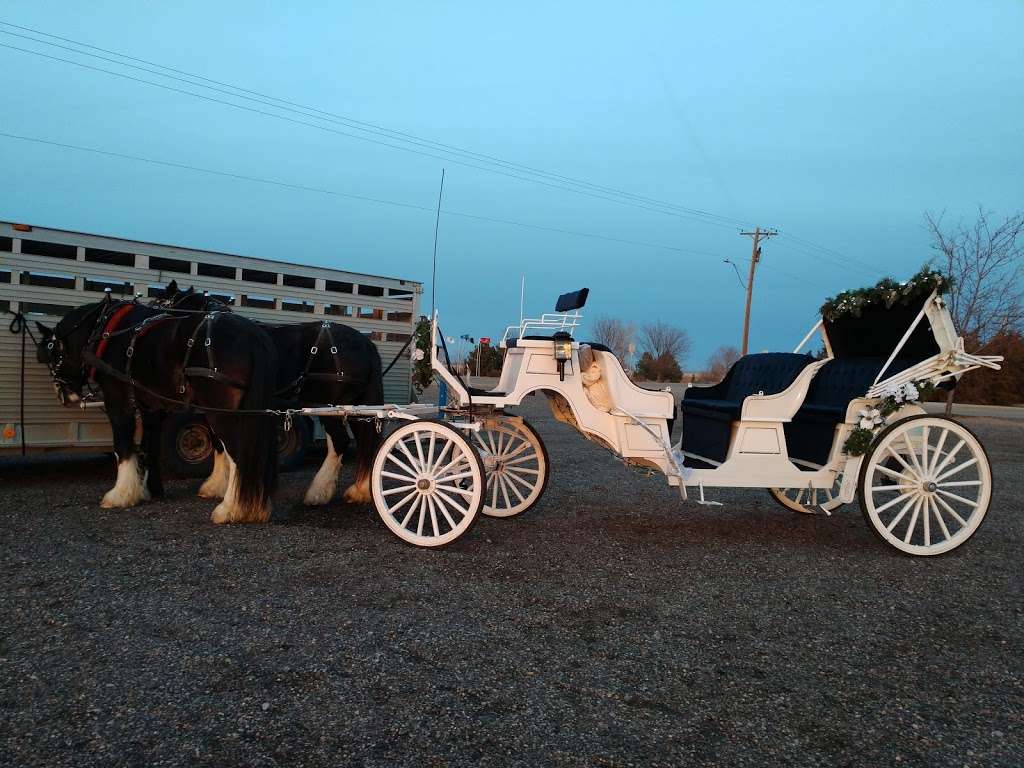 Mountain Shadow Carriages | 10175 CO-392, Windsor, CO 80550, USA | Phone: (303) 358-3198