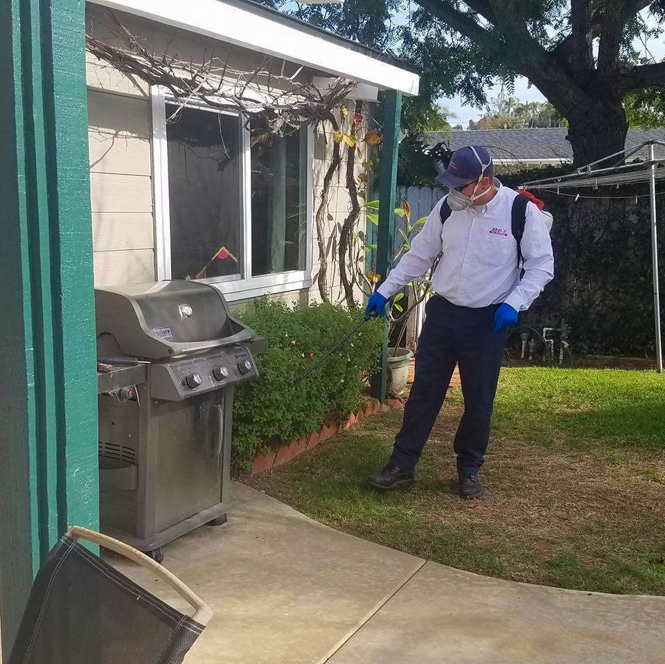 RED E Pest Prevention | 1469 Swift Ln, El Cajon, CA 92020, USA | Phone: (760) 681-6026