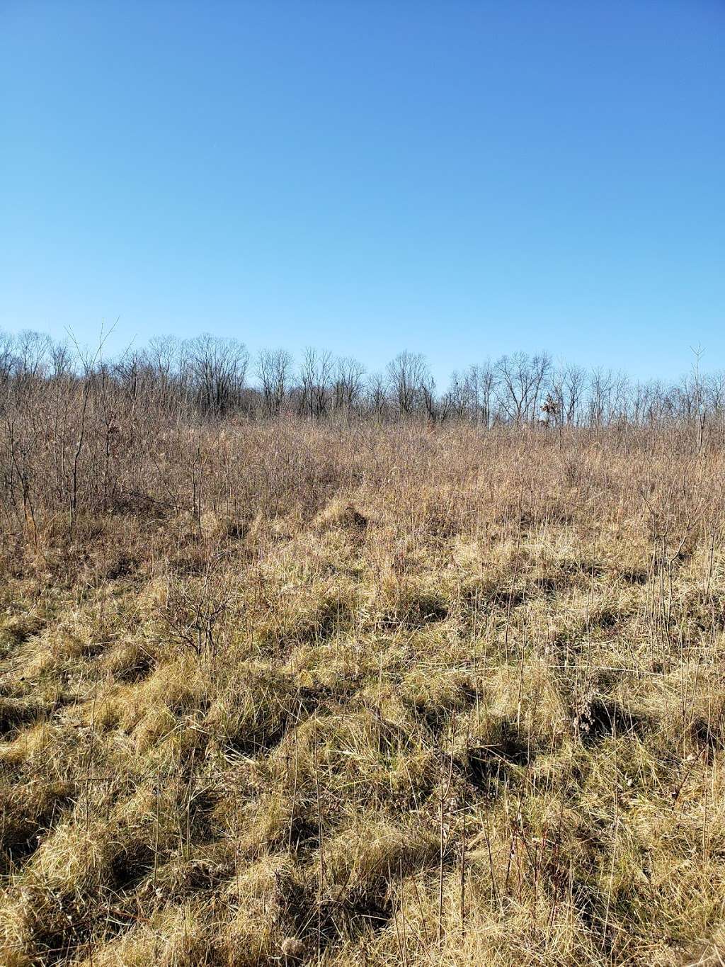 Scott Starling Nature Preserve (West trailhead) | 8521-8899 Wilson Rd, Indianapolis, IN 46278