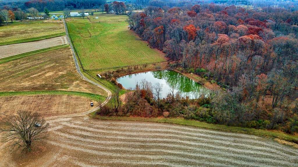 Natural Lands Willisbrook Preserve | 110 Township, Line Rd, Malvern, PA 19355, USA | Phone: (610) 353-5587