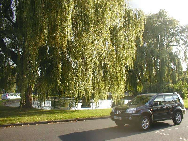 Fine & Country Sevenoaks (Formally Willow Residential Estate Age | 6 High St, Otford, Sevenoaks TN14 5PQ, UK | Phone: 01959 588900