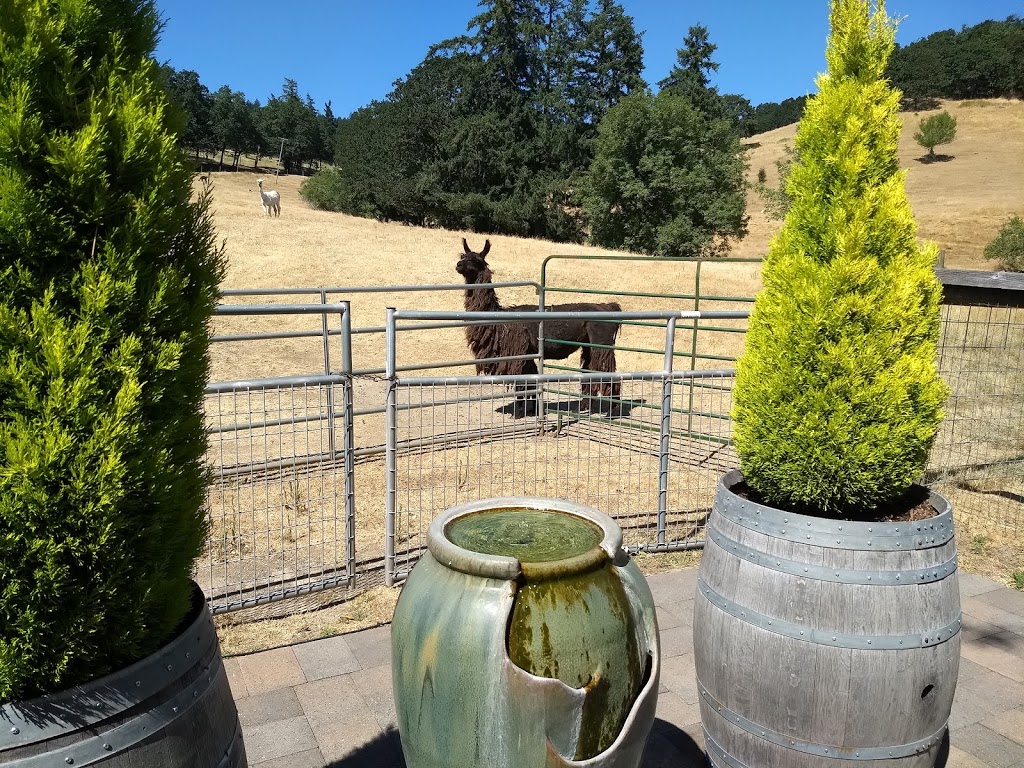 Rain Dance Vineyards | 26355 NE Bell Rd, Newberg, OR 97132, USA | Phone: (503) 538-0197