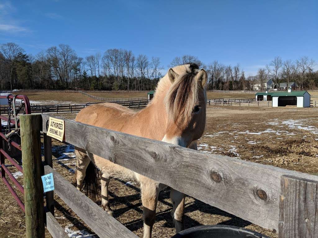 Maryland Therapeutic Riding | 1141 Sunrise Beach Rd, Crownsville, MD 21032, USA | Phone: (410) 923-6800