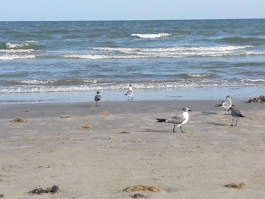 Sea Isle Beach | 21906 Kennedy Dr, Galveston, TX 77554, USA