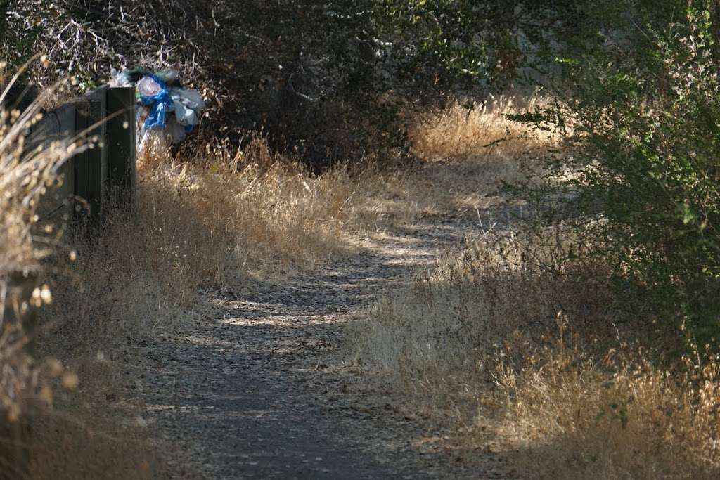 Hyde Park Trail Lower Trailhead | 205 Chesham Ave, San Carlos, CA 94070