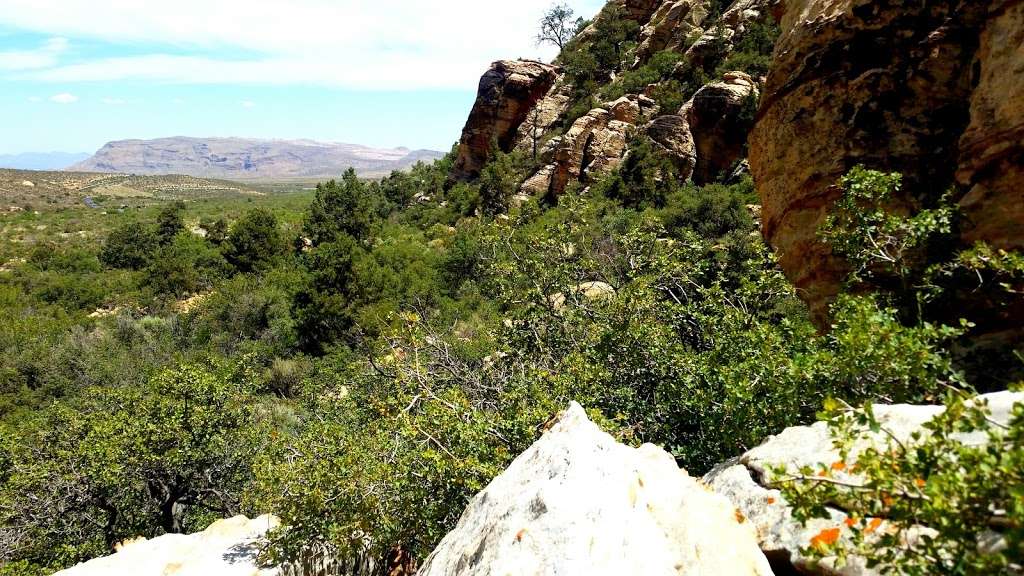 Lost Creek Canyon | Childrens Discovery Trail, Las Vegas, NV 89161, USA | Phone: (702) 515-5350