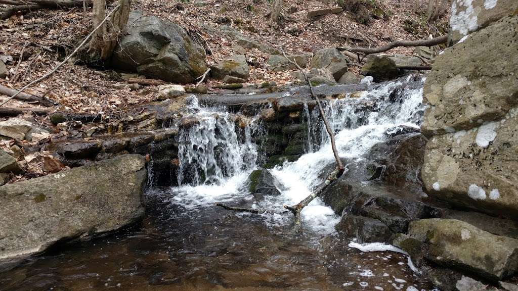 Musconetcong Gorge Nature Preserve | 182 Dennis Rd, Bloomsbury, NJ 08804, USA