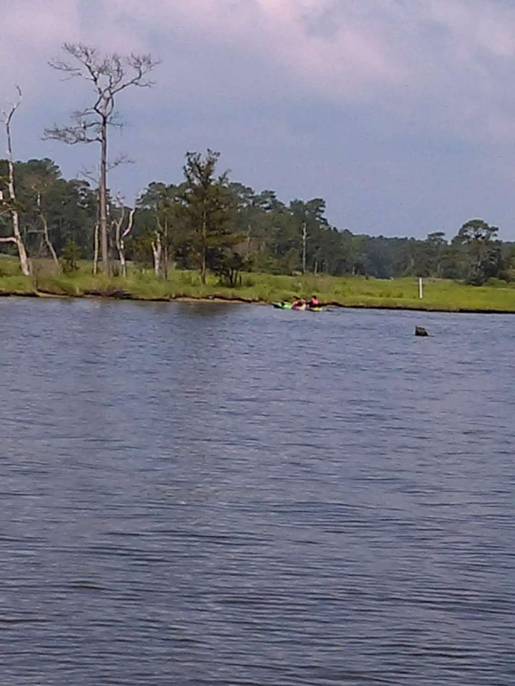 Assawoman Wildlife Area | Delaware, USA