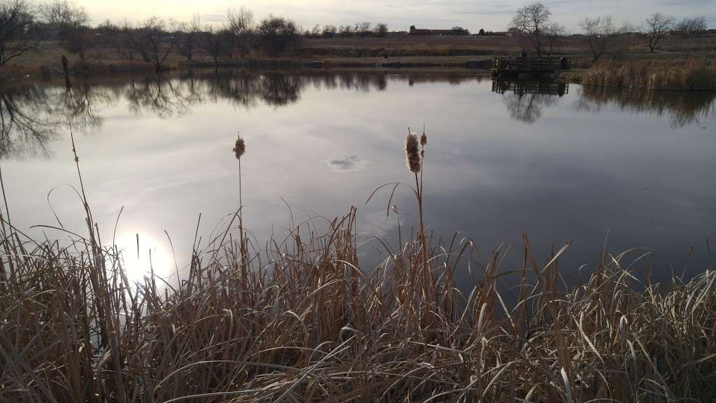 Grandview Ponds Open Space & Prairie Dog Habitat | Thornton, CO 80233, USA