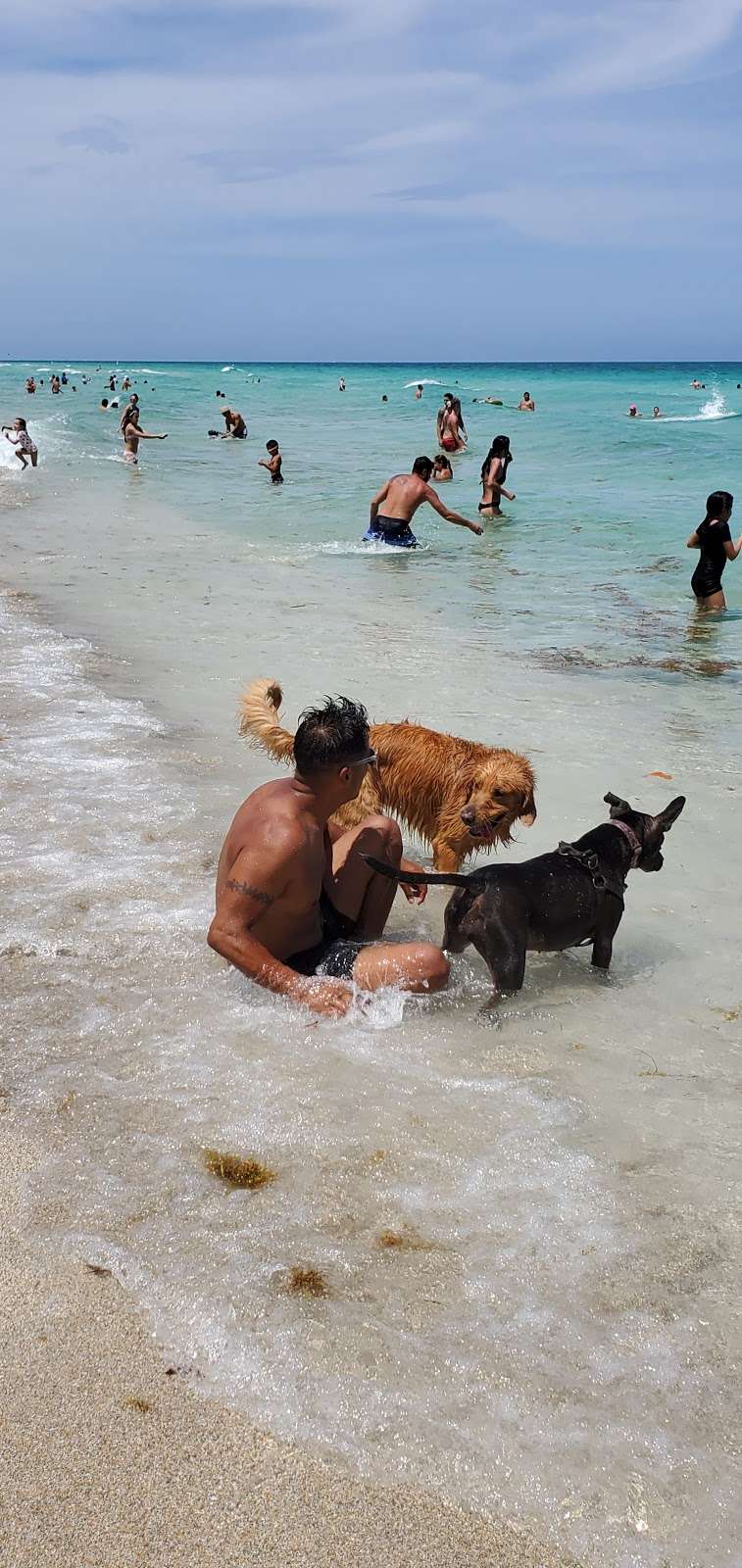 Haulover Beach Dog Park | 10800 Collins Ave, Miami Beach, FL 33154, USA | Phone: (305) 947-3525