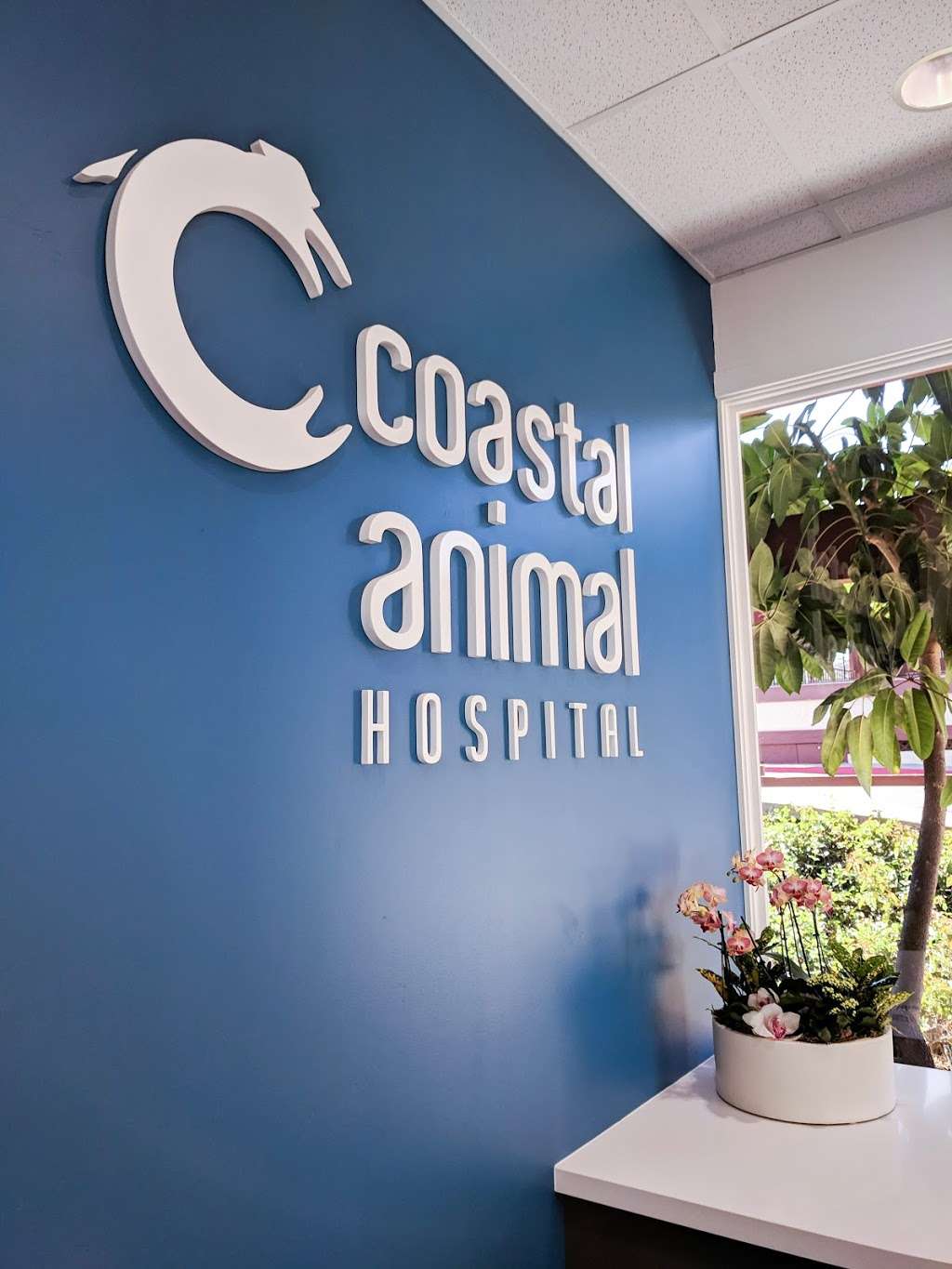 Coastal Animal Hospital | 2584 El Camino Real Ste A1, Carlsbad, CA 92008, USA | Phone: (760) 230-2249