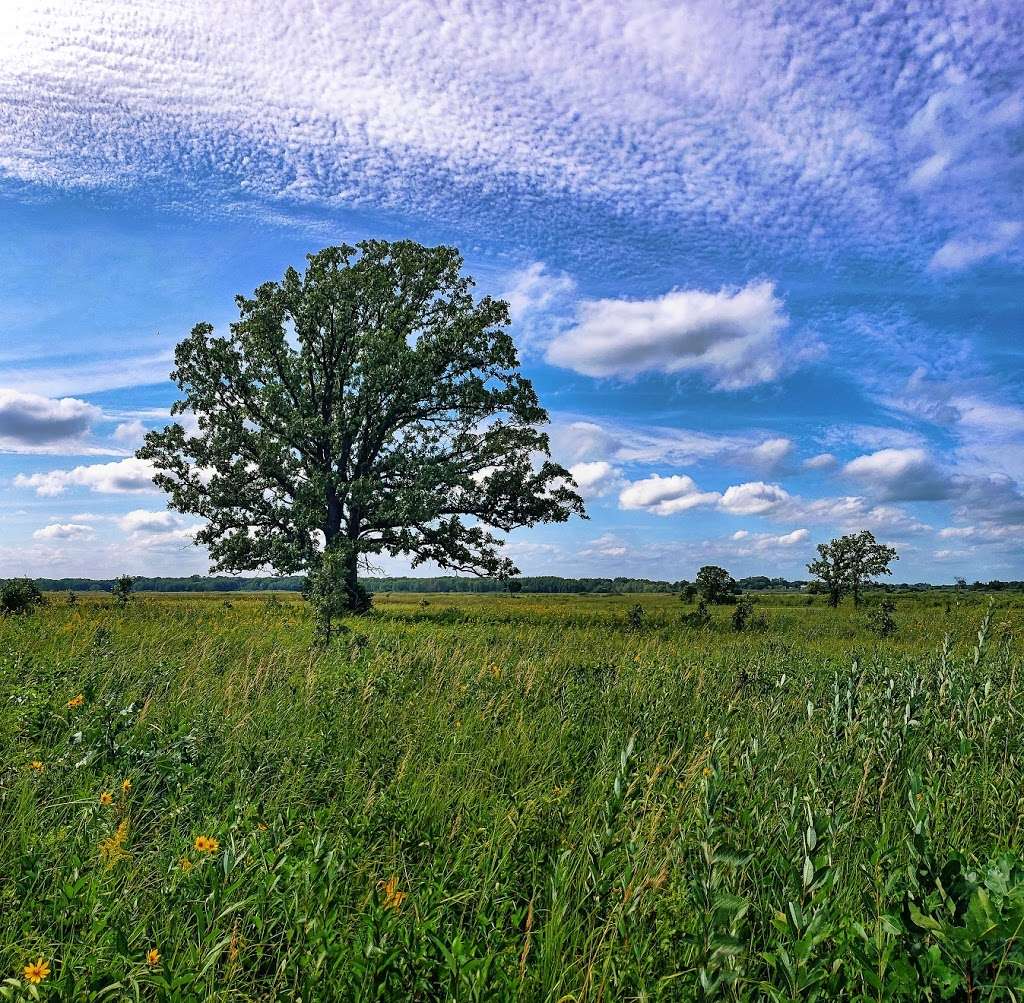 Scuppernong Prairie State Natural Area | County Rd N, Eagle, WI 53119, USA | Phone: (608) 266-0394