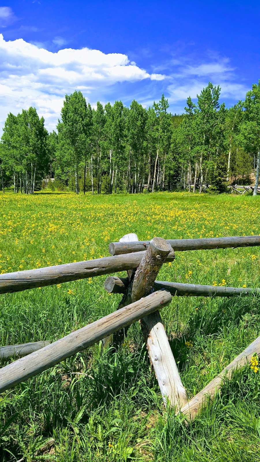 Beaver Brook Watershed Trailhead | 25123 Squaw Pass Rd, Evergreen, CO 80439