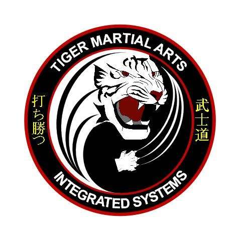 Tiger Martial Arts | 1583 S Calumet Rd, Chesterton, IN 46304, USA | Phone: (219) 921-1171