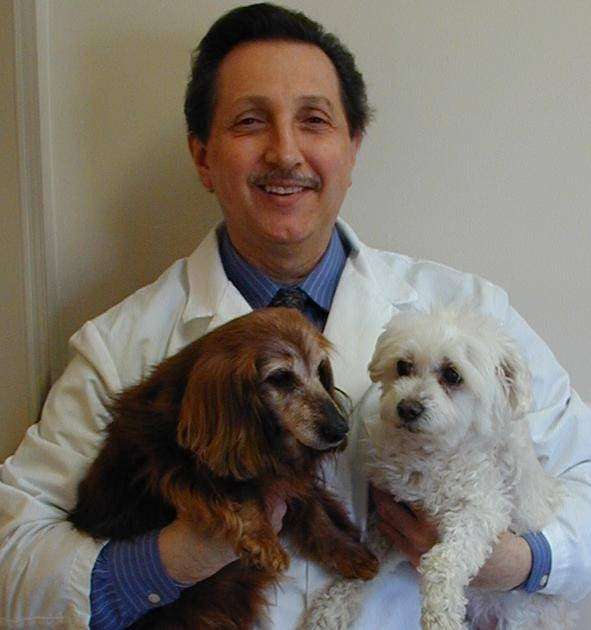 HOME VET CARE MOBILE VETERINARY SERVICE | 159 Duke Dr, Carmel Hamlet, NY 10512, USA | Phone: (914) 963-2600