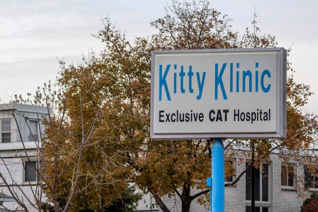 Kitty Klinic | 3447 Lyndale Ave S, Minneapolis, MN 55408, USA | Phone: (612) 822-2135