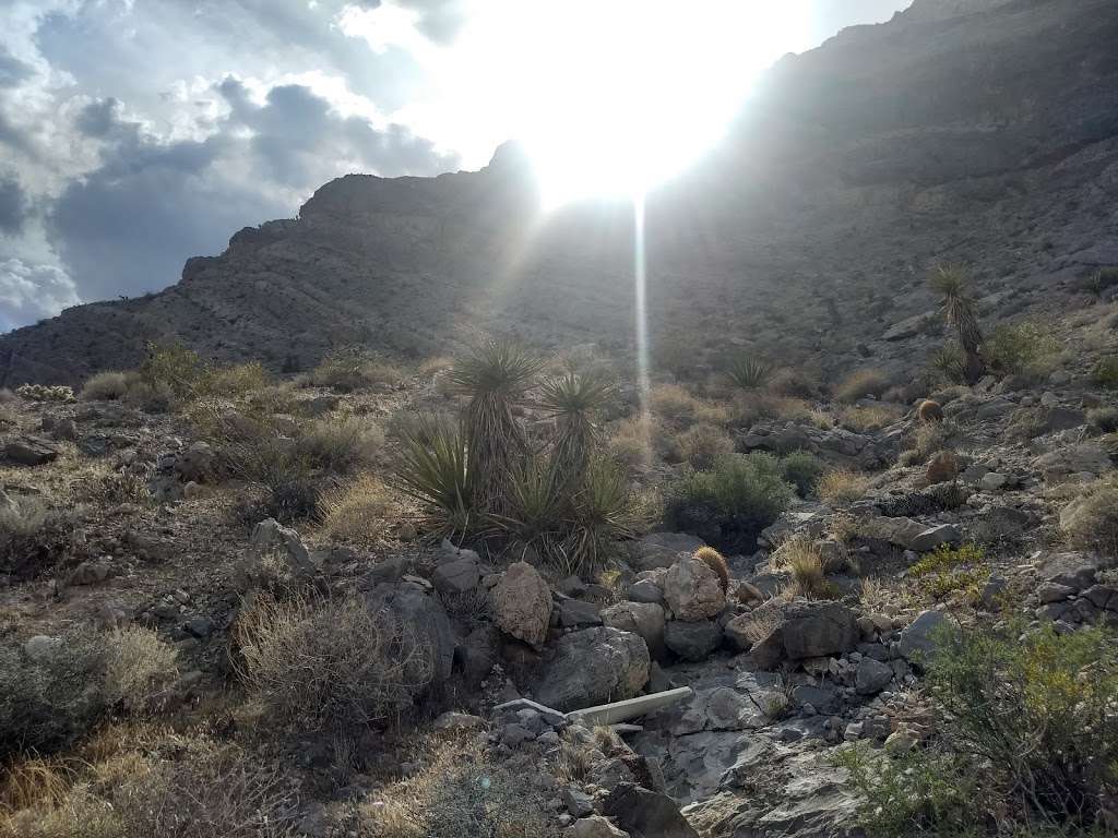 Buckskin Cliff Shadows | 3355 Cliff Shadows Pkwy, Las Vegas, NV 89129, USA