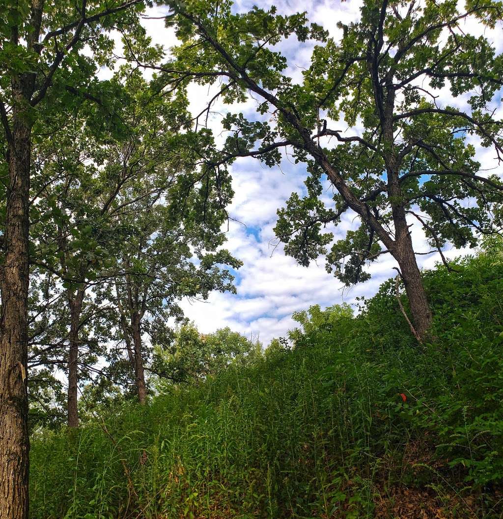 Rice Lake Dry Prairie State Natural Area | N7681 State Park Dr, Whitewater, WI 53190, USA