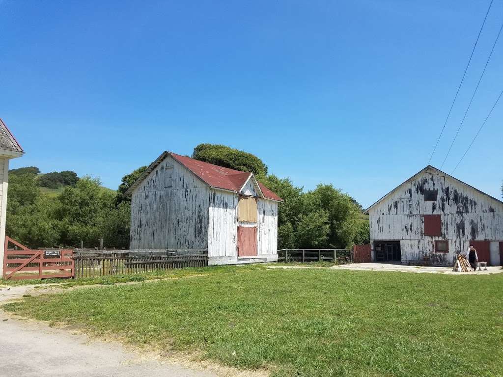 Wilder Ranch State Park | 1401 Coast Rd, Santa Cruz, CA 95060, USA | Phone: (831) 423-9703