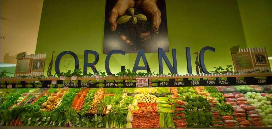 Organic Roots | 40458 Winchester Rd, Temecula, CA 92591, USA | Phone: (951) 296-3444