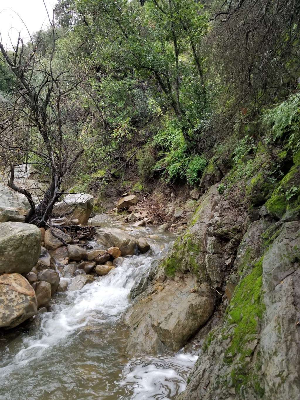 Los Padres National Forest | 6750 Navigator Dr, Goleta, CA 93117, USA | Phone: (805) 968-6640