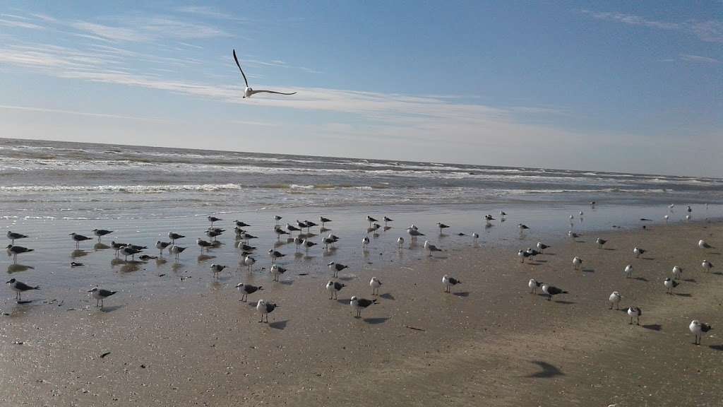 Sunny Beach | Bernice Dr, Galveston, TX 77554, USA