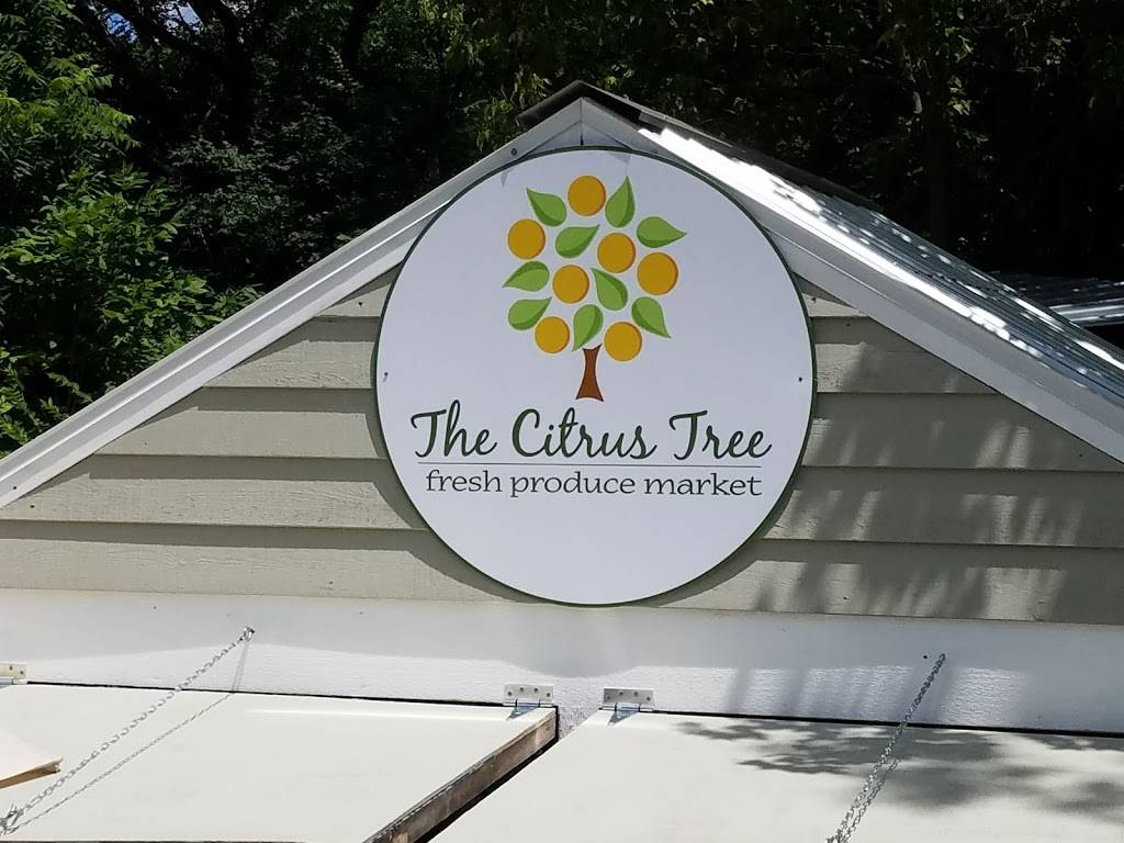 The Citrus Tree | 10031 Corbett Rd, Cincinnati, OH 45231, USA | Phone: (513) 313-3638