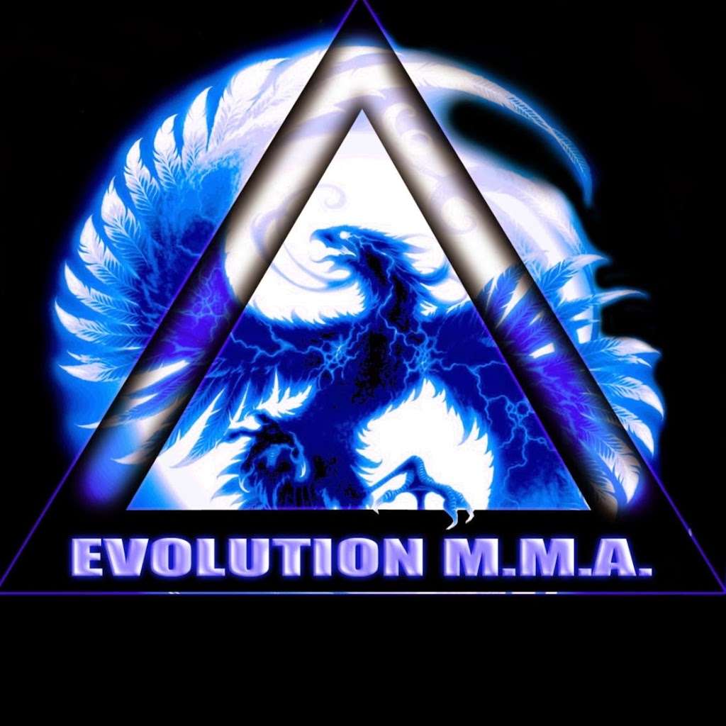 Evolution Mixed Martial Arts | 1600 Shore Rd, Naperville, IL 60563, USA | Phone: (847) 261-4662