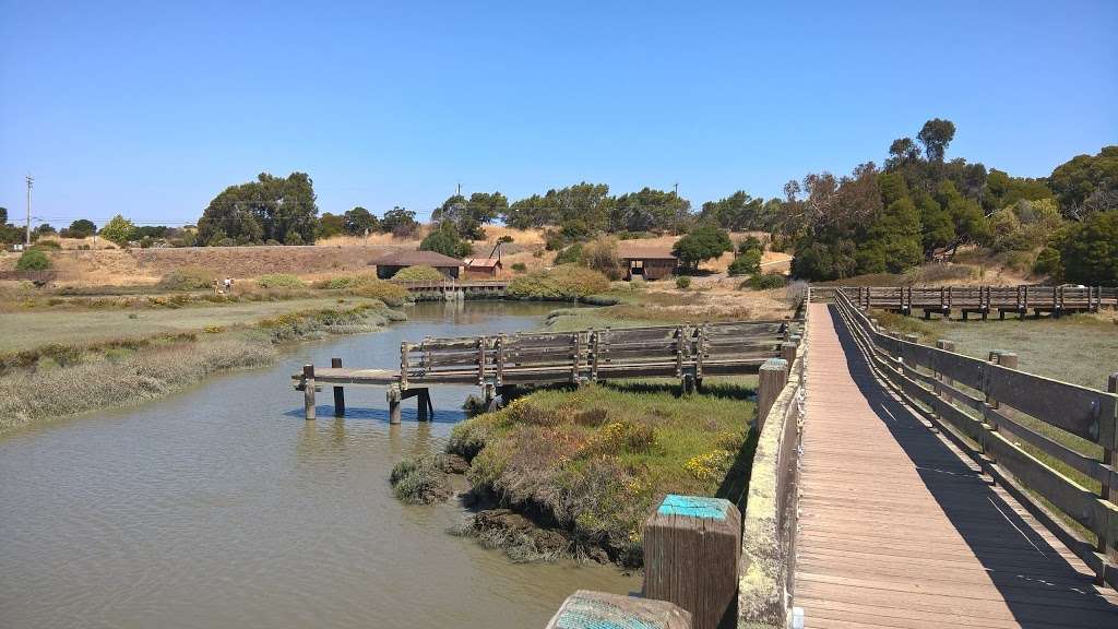 Don Edwards National Wildlife Refuge | 1 Marshlands Rd, Fremont, CA 94555, USA | Phone: (510) 792-0222