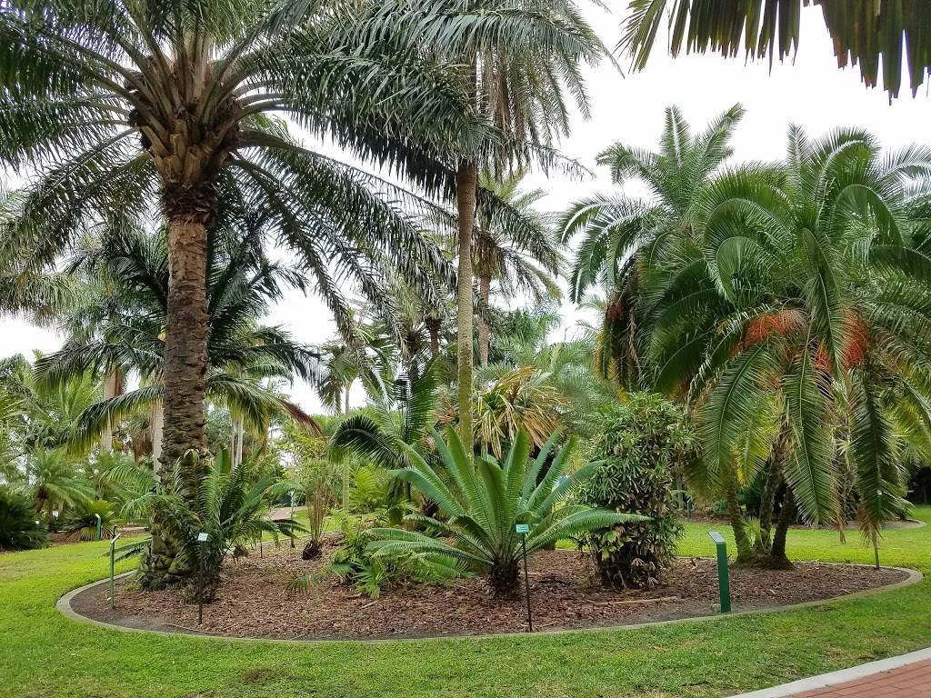 Gizella Kopsick Palm Arboretum | 605 11th Ave NE, St. Petersburg, FL 33701, USA | Phone: (727) 893-7441