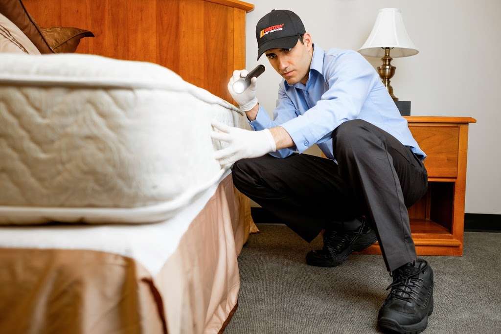 Western Pest Services | 905 NJ-10, Randolph, NJ 07869 | Phone: (844) 213-6132