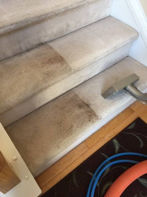 Quality One Carpet Cleaning | 503 E Franklin St, Raleigh, NC 27604, USA | Phone: (919) 909-0414