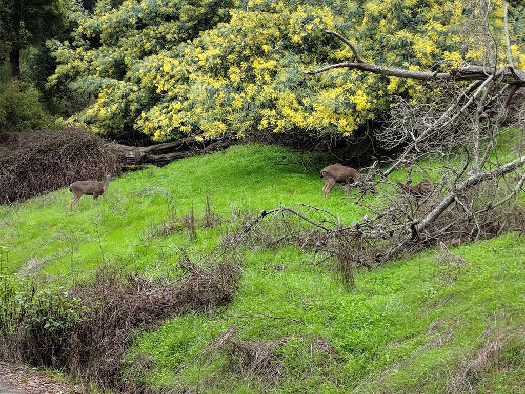 Angel Island | Belvedere Tiburon, CA 94920