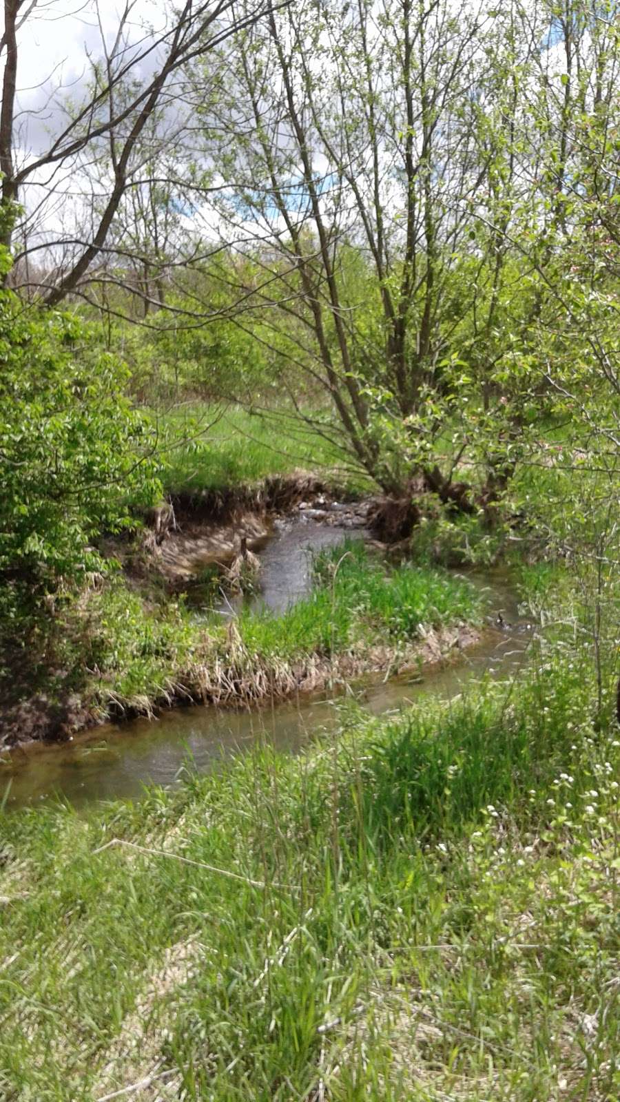 Rush Creek Conservation Area | 20501 McGuire Rd, Harvard, IL 60033 | Phone: (815) 338-6223