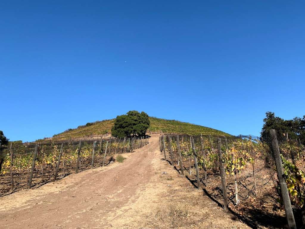 Malibu Wine Tours | 32115 Mulholland Hwy, Malibu, CA 90265, USA