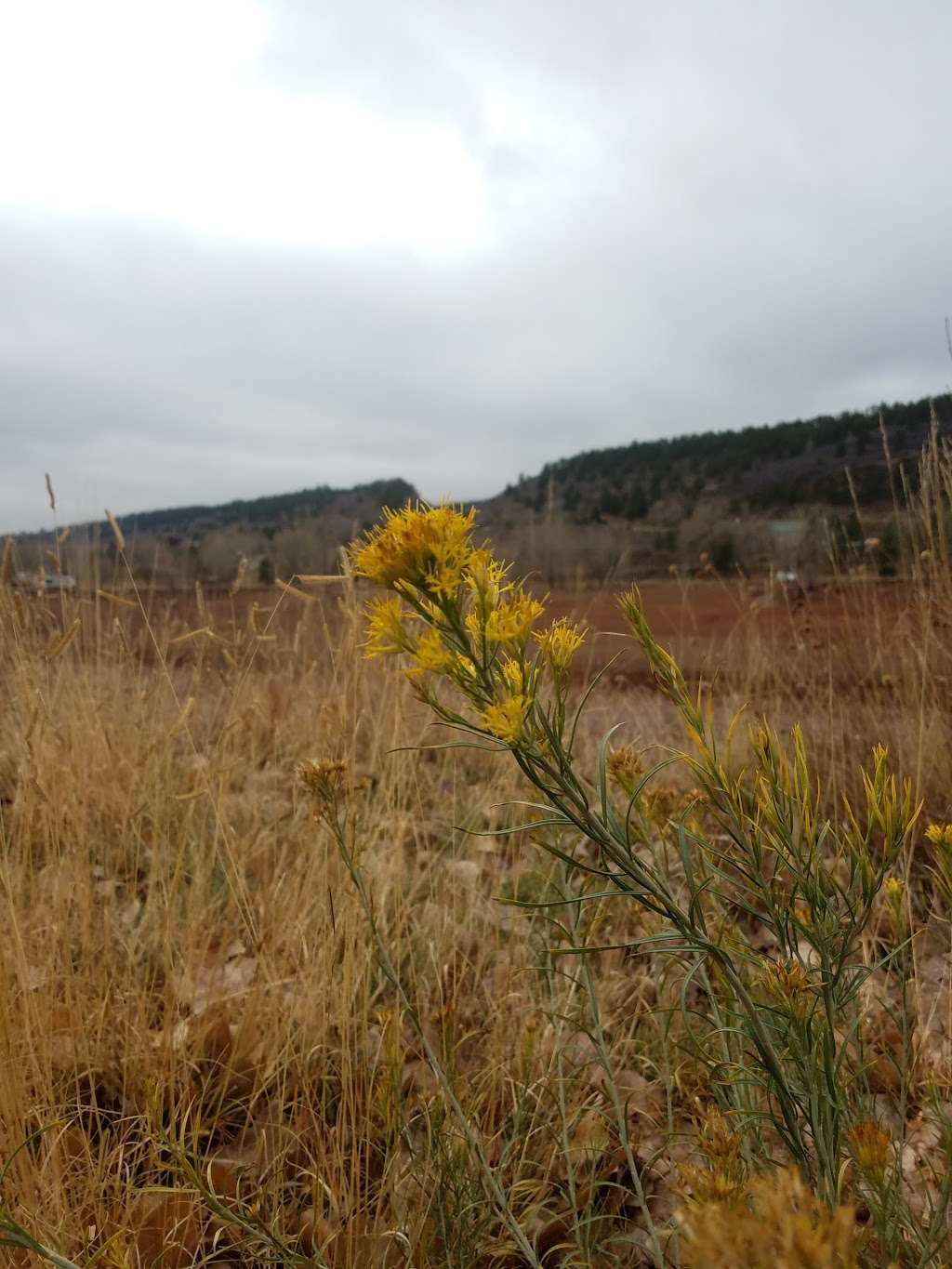 Horsetooth Area Information Center | 4200 W County Rd 38 E, Fort Collins, CO 80526, USA | Phone: (970) 498-5610