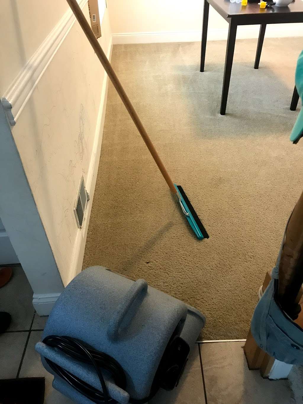 Unique Steam Clean | 1407 Dogwood Cir, Blue Bell, PA 19422, USA | Phone: (484) 868-2621