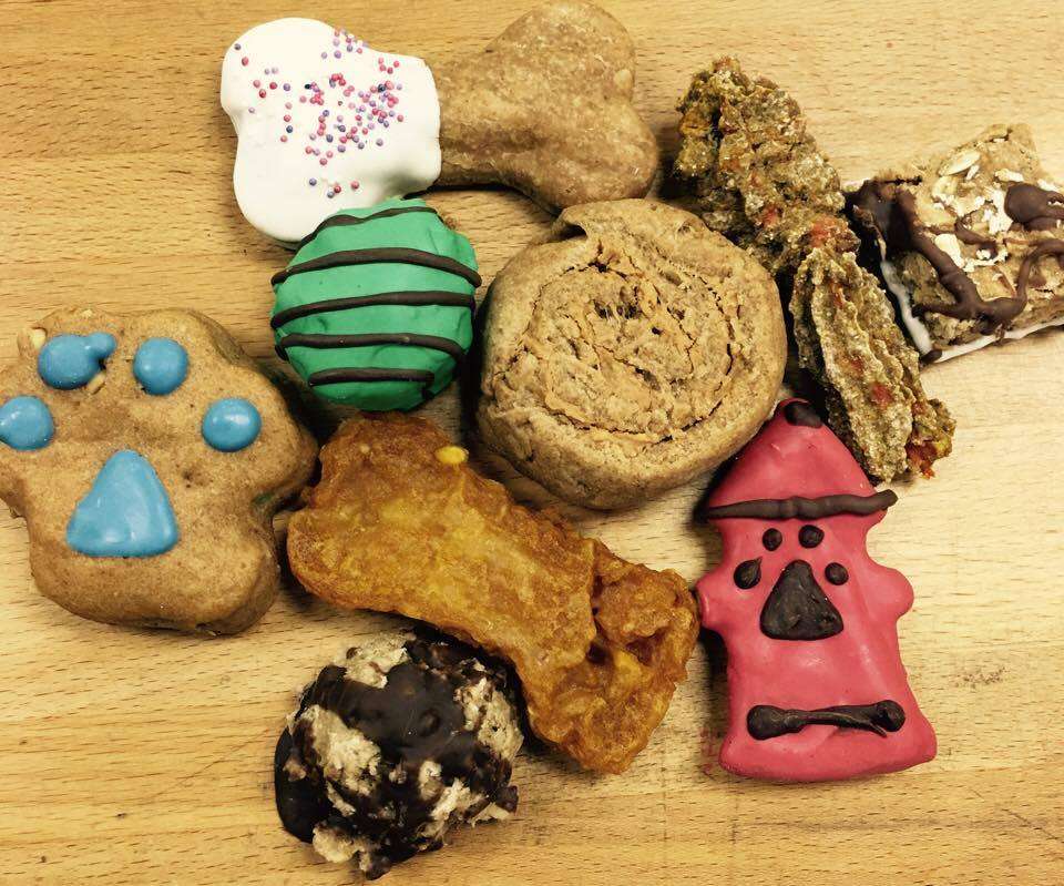 Big Biscuit Bakery & Pet Supply | 7 Forge Pkwy, Franklin, MA 02038, USA | Phone: (508) 528-4792