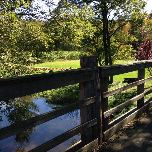 Cavages Country Farm Market | 1203 Roosevelt Hwy, Waymart, PA 18472, USA | Phone: (570) 251-7709