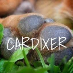 Cardixer | 34834 West Highway U, Rayville, MO 64084, United States | Phone: (816) 723-0382