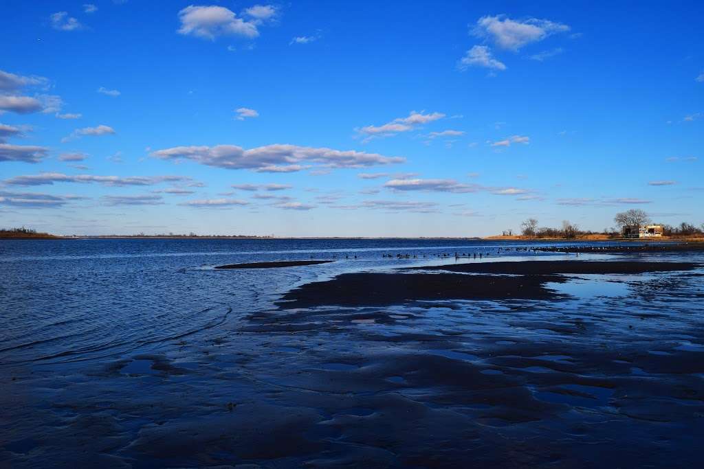 North Forty Natural Area | Hiking Trail, Brooklyn, NY 11234, USA