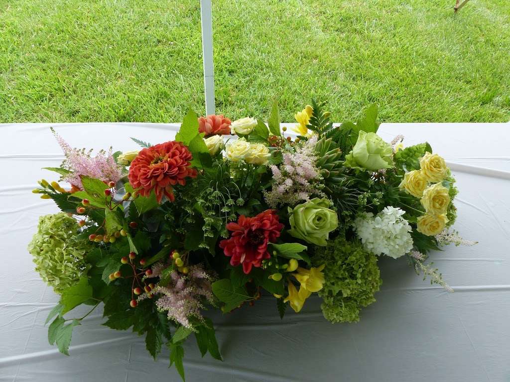 Island Flowers | 1630 Postal Rd, Chester, MD 21619, USA | Phone: (410) 604-2115