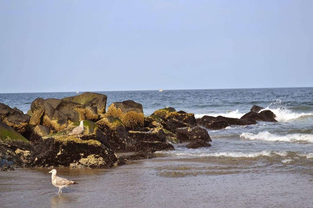 Atlantic View Inn | 20 Woodland Ave, Avon-By-The-Sea, NJ 07717, USA | Phone: (732) 774-8505