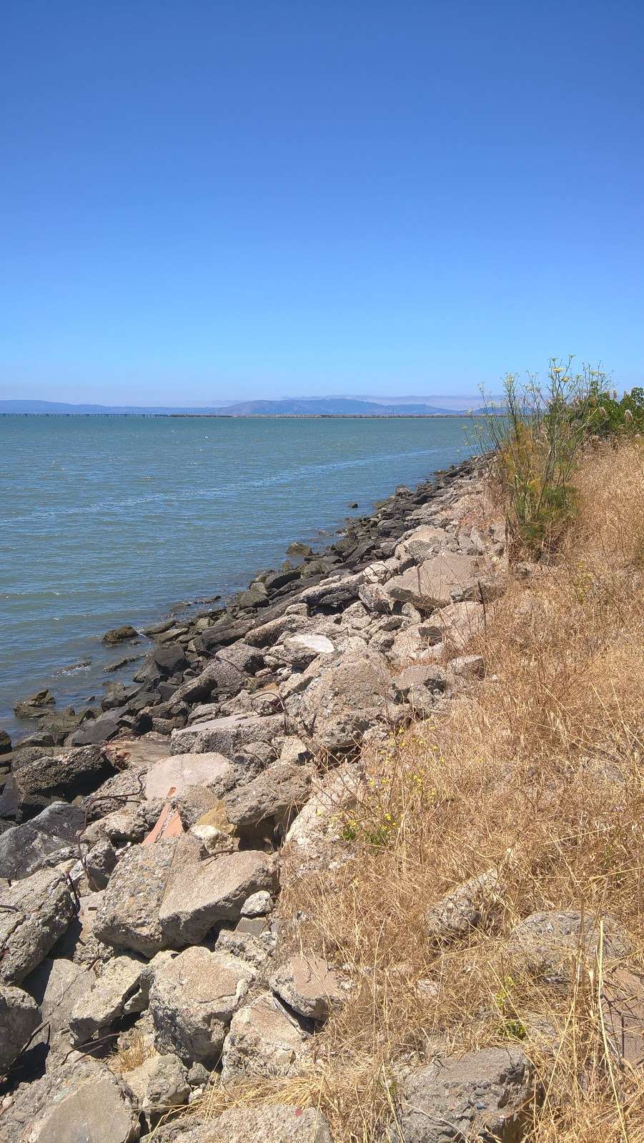 Oyster Bay Regional Shoreline Park | San Leandro, CA 94577, USA