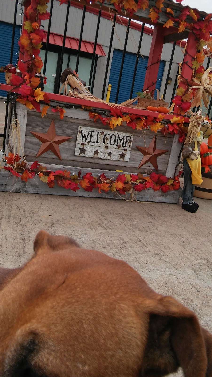 Lonestar Storage Center | 21145 Farm to Market Rd 529, Katy, TX 77449, USA | Phone: (832) 593-7867