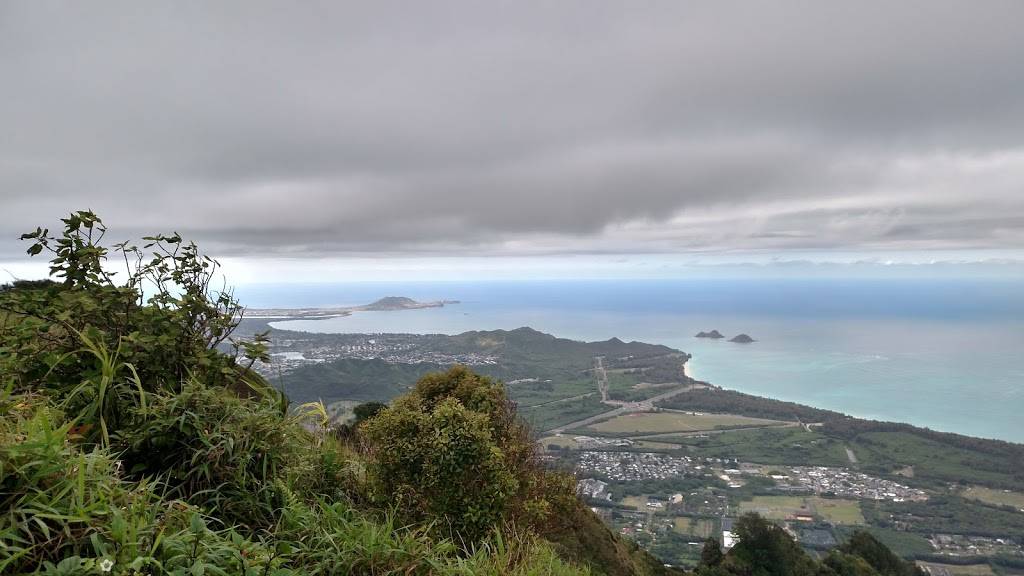 Honolulu Watershed Forest Reserve | Honolulu, HI 96822, USA | Phone: (808) 973-9778